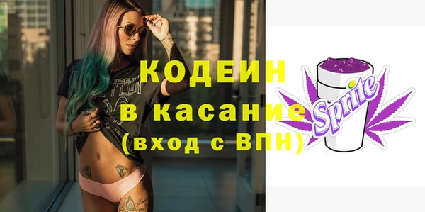 ГАЛЛЮЦИНОГЕННЫЕ ГРИБЫ Верея