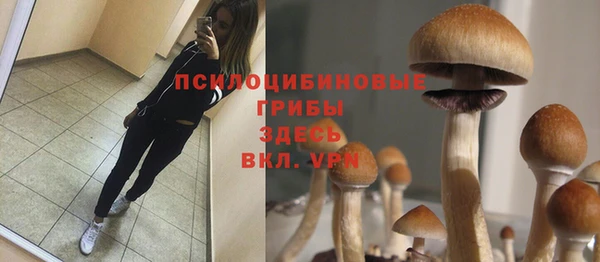 первитин Верхнеуральск
