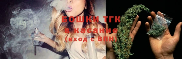 ГАЛЛЮЦИНОГЕННЫЕ ГРИБЫ Верея