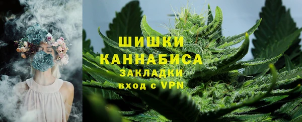 ГАЛЛЮЦИНОГЕННЫЕ ГРИБЫ Верея