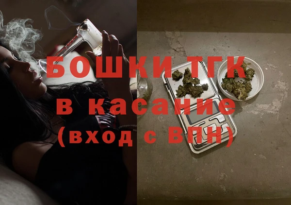 ГАЛЛЮЦИНОГЕННЫЕ ГРИБЫ Верея