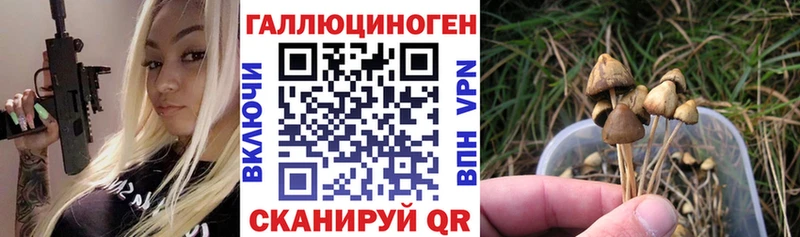 кракен   Гаджиево  Псилоцибиновые грибы ЛСД 